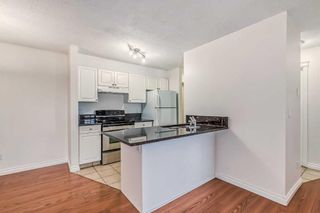 Photo 9: 309 5555 Falsbridge Drive NE in Calgary: Falconridge Apartment for sale : MLS®# A2093648