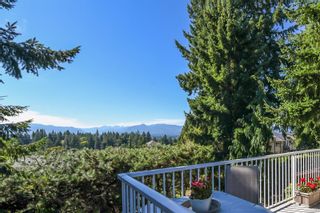 Photo 3: 1115 Evergreen Ave in Courtenay: CV Courtenay East House for sale (Comox Valley)  : MLS®# 885875