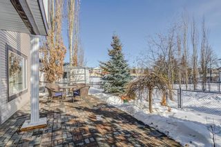 Photo 28: 122 Springborough Point SW in Calgary: Springbank Hill Detached for sale : MLS®# A2032375
