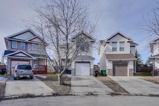 Main Photo: 117 Coral Springs Mews NE in Calgary: Coral Springs Detached for sale : MLS®# A2121614