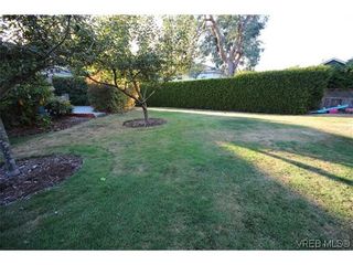 Photo 18: 4814 Sunnygrove Pl in VICTORIA: SE Sunnymead House for sale (Saanich East)  : MLS®# 621327