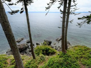 Photo 20: 10529 West Coast Rd in Sooke: Sk French Beach House for sale : MLS®# 834750