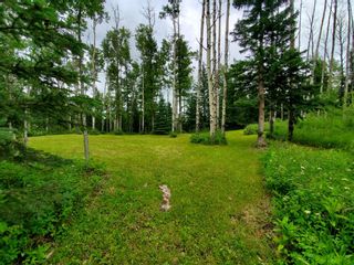 Photo 31: 19 Raven Ridge Road: Rural Clearwater County Detached for sale : MLS®# A1227442