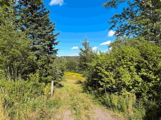 Photo 2: West River Station Road in Salt Springs: 108-Rural Pictou County Vacant Land for sale (Northern Region)  : MLS®# 202220521