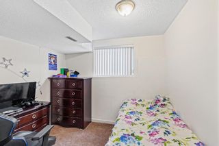 Photo 21: 292 Taracove Estate Drive NE in Calgary: Taradale Detached for sale : MLS®# A2031950