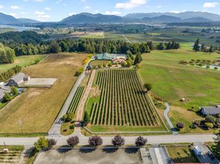Photo 4: 5290 OLUND Road in Abbotsford: Bradner Agri-Business for sale in "SEASIDE PEARL FARMGATE WINERY" : MLS®# C8054389