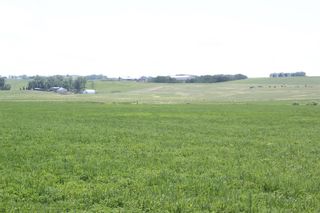 Photo 19: ON Range Road 12 in Rural Rocky View County: Rural Rocky View MD Commercial Land for sale : MLS®# A1116953