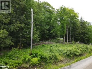 Photo 4: 0 SAM ENGLISH Road in Huntsville: Vacant Land for sale : MLS®# 40391008