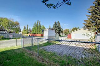 Photo 35: 174 Abalone Place NE in Calgary: Abbeydale Semi Detached for sale : MLS®# A1225319