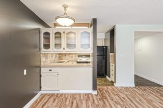 Photo 10: 109 1001 68 Avenue SW in Calgary: Kelvin Grove Apartment for sale : MLS®# A2014564