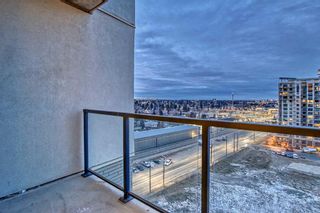 Photo 16: 1211 8880 Horton Road SW in Calgary: Haysboro Apartment for sale : MLS®# A2096338