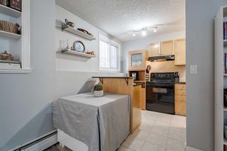 Photo 11: 102 823 19 Avenue SW in Calgary: Lower Mount Royal Apartment for sale : MLS®# A2125655