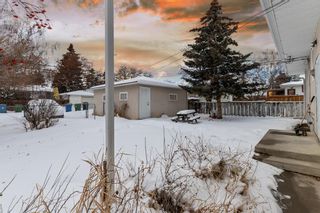 Photo 4: 2315 22A Street NW in Calgary: Banff Trail Detached for sale : MLS®# A2038677