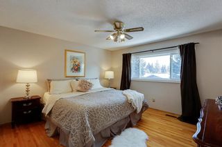 Photo 22: 10636 MAPLEGLEN Crescent SE in Calgary: Maple Ridge Detached for sale : MLS®# C4225392