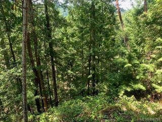 Photo 36: 409 Pilkey Point Rd in Thetis Island: Isl Thetis Island Land for sale (Islands)  : MLS®# 936787