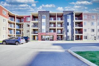 Photo 1: 205 15 Saddlestone Way NE in Calgary: Saddle Ridge Apartment for sale : MLS®# A2129042
