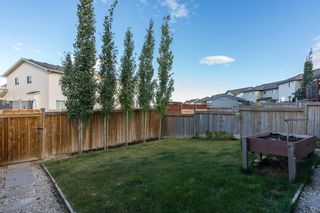 Photo 28: 34 PANORA View NW in Calgary: Panorama Hills Detached for sale : MLS®# A1027248