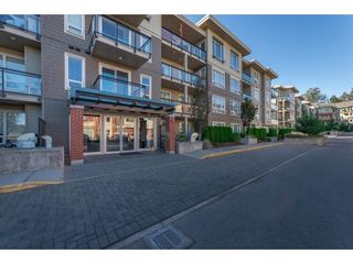 Photo 20: A107 20211 66 Avenue in Langley: Willoughby Heights Condo for sale : MLS®# R2206483