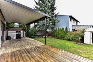 Photo 15: 6504 197 Street in Langley: Willoughby Heights House for sale in "Langley Meadows" : MLS®# R2148861