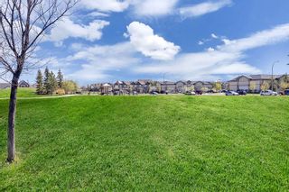 Photo 27: 2405 279 Copperpond Common SE in Calgary: Copperfield Apartment for sale : MLS®# A2051425