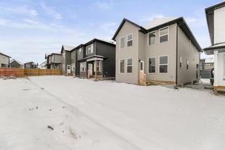 Photo 46: 27 Copperhead Way SE in Calgary: Copperfield Detached for sale : MLS®# A2014410