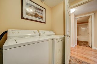 Photo 19: 1213 Whispering Greens Place: Vulcan Detached for sale : MLS®# A2036597