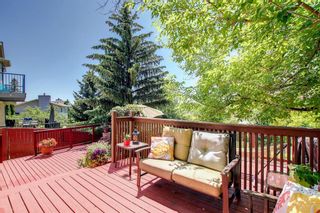 Photo 29: 393 Deerview Drive SE in Calgary: Deer Ridge Detached for sale : MLS®# A1234629