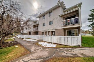 Photo 1: 14 3015 51 Street SW in Calgary: Glenbrook Row/Townhouse for sale : MLS®# A2128442