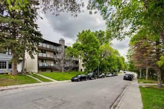 Photo 13: 1827 17A Street SW in Calgary: Bankview Detached for sale : MLS®# A2008787
