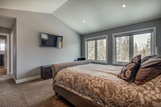 Photo 19: 41 garrison Circle: Red Deer Detached for sale : MLS®# A1195477
