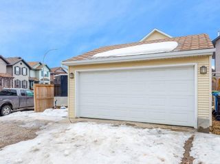 Photo 28: 181 CRANBERRY Close SE in Calgary: Cranston House for sale : MLS®# C4178051