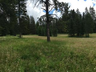 Photo 3: 330504 Rge Rd 51: Rural Mountain View County Residential Land for sale : MLS®# A1189876