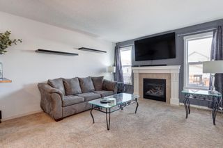 Photo 14: 460 Cranberry Circle SE in Calgary: Cranston Detached for sale : MLS®# A2033809
