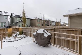Photo 29: 2204 Brightoncrest Common SE in Calgary: New Brighton Detached for sale : MLS®# A1043586