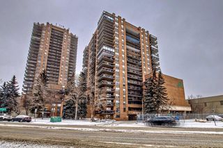 Main Photo: 802 9800 Horton Road SW in Calgary: Haysboro Apartment for sale : MLS®# A2105089
