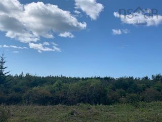 Photo 8: 21 Bear Point Road in Bear Point: 407-Shelburne County Vacant Land for sale (South Shore)  : MLS®# 202221845