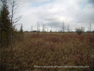 Photo 5: 2489 Concession Road 3 Road in Ramara: Brechin Property for sale : MLS®# X3371303