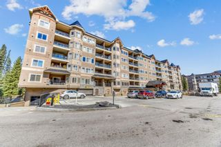 Photo 18: 217 30 Discovery Ridge Close SW in Calgary: Discovery Ridge Apartment for sale : MLS®# A1240266
