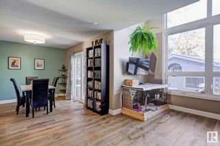 Photo 21: 9010 101A Avenue in Edmonton: Zone 13 House for sale : MLS®# E4320720