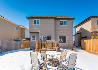 Photo 32: 2846 Chinook Winds Drive SW: Airdrie Detached for sale : MLS®# A2042744