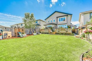 Photo 43: 38 ELGIN MEADOWS Link SE in Calgary: McKenzie Towne Detached for sale : MLS®# A2012282