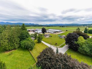 Photo 10: 27625 GRAY Avenue in Abbotsford: Bradner Agri-Business for sale : MLS®# C8045892