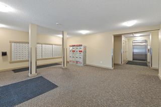 Photo 26: 2301 81 Legacy Boulevard SE in Calgary: Legacy Apartment for sale : MLS®# A1258574