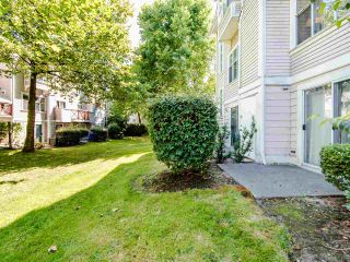 Photo 28: 101 2450 HAWTHORNE Avenue in Port Coquitlam: Central Pt Coquitlam Townhouse for sale : MLS®# R2490004