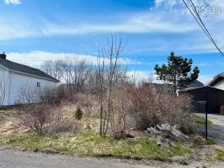 Photo 4: 396 York Street in Glace Bay: 203-Glace Bay Vacant Land for sale (Cape Breton)  : MLS®# 202308690