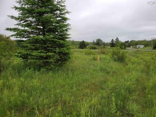 Photo 5: 23-5 242 Highway in River Hebert East: 102S-South of Hwy 104, Parrsboro Vacant Land for sale (Northern Region)  : MLS®# 202312420