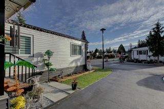 Photo 31: 19659 PLANETREE Lane in Pitt Meadows: Central Meadows Manufactured Home for sale in "Meadow Highlands" : MLS®# R2638100
