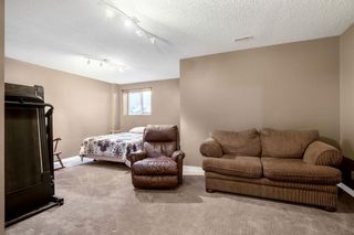 Photo 26: 9 Brightoncrest Grove SE in Calgary: New Brighton Semi Detached (Half Duplex) for sale : MLS®# A2032544