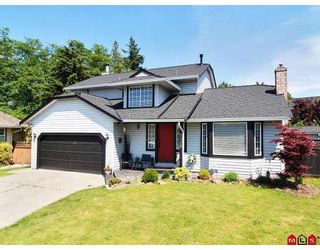 Photo 1: 9326 211TH Street in Langley: Walnut Grove House for sale : MLS®# F2912633