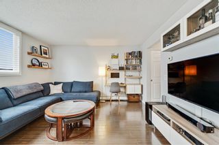Photo 12: 301 4619 73 Street NW in Calgary: Bowness Apartment for sale : MLS®# A2035068